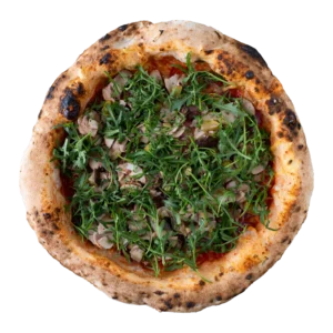 VEGE ORTOLANA